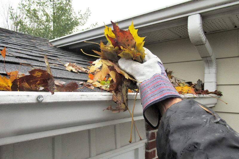 Clogged Gutters
